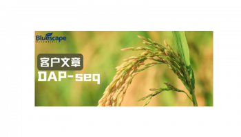 New Phytol（IF=8.1）▏DAP-seq技术助力揭示水稻免疫调控分子机制
