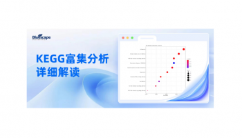组学数据必备！KEGG富集分析超详细解读，零基础也能看懂