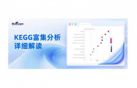 组学数据必备！KEGG富集分析超详细解读，零基础也能看懂