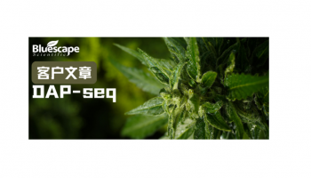 Advanced Science（IF=14.1）▏DAP-seq助力揭示CsYABBY3调控大麻腺毛分化与大麻素合成的分子机制