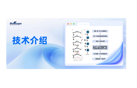 一文读懂CUT&Tag：表观遗传研究的“精准定位神器”