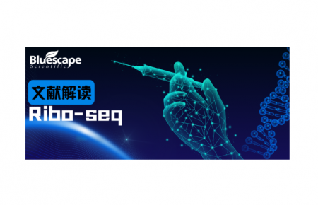Ribo-seq文献 | 人脑中RNA翻译的发育动力学