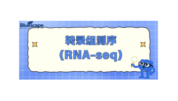 转录组测序（RNA-seq）