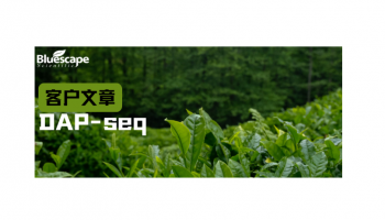 Plant Biotechnol J（IF=12.8）|DAP-seq助力揭示茶树CsMYB82介导的炭疽病抗性调控网络