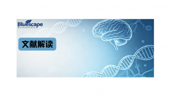 Polysome profiling文章 | 在早期脑发育中ADAR3通过调控mRNA稳定性与翻译，抑制神经元分化