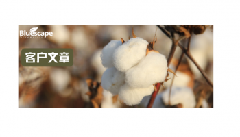 Nat Commun（IF=18.1）| DAP-seq和RNA-seq联合助力解析GbNAC072C介导海岛棉衣分的等位特异调控机制