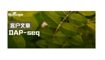 Nat Commun（IF=18.1）▏DAP-seq助力揭示光敏色素整合茉莉酸与高温信号调控叶绿体发育分子机制