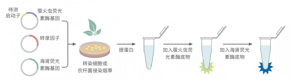 二.png